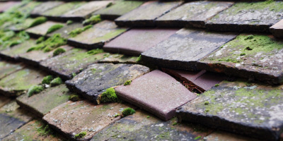 Dedham roof repair costs